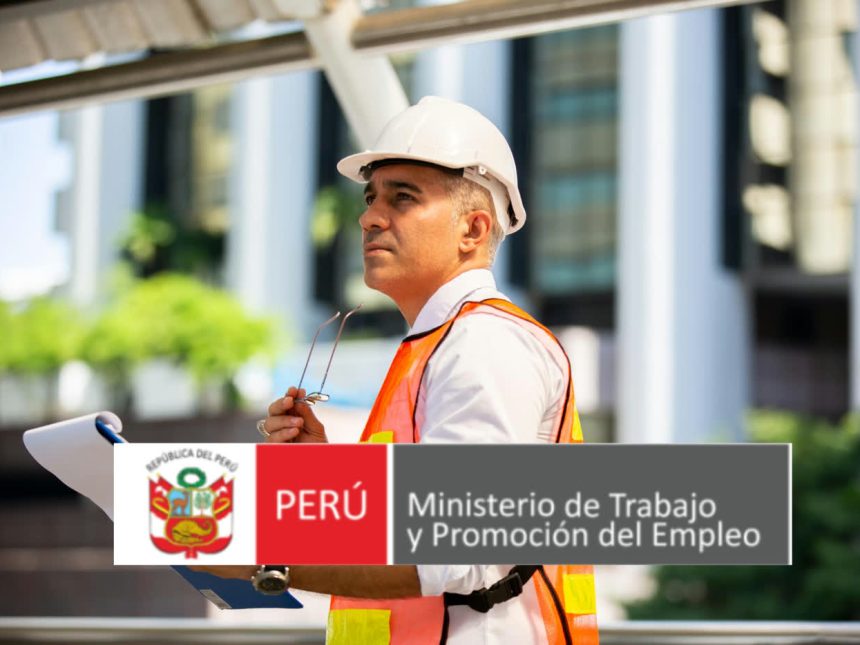 Auditor de seguridad en campo